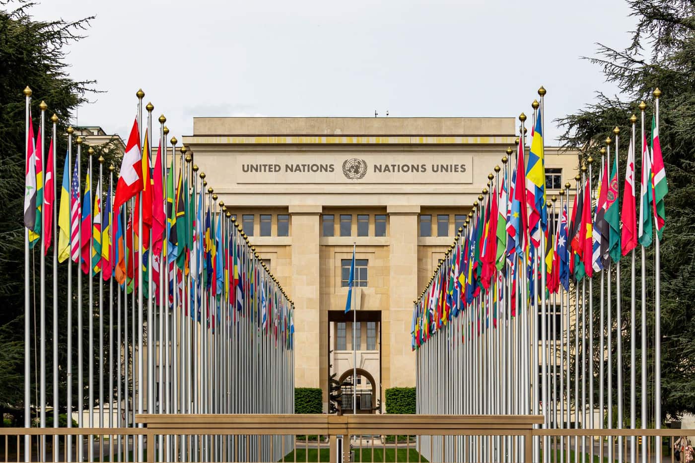 Flags of United Nations member countries lining a plaza outside a UN building