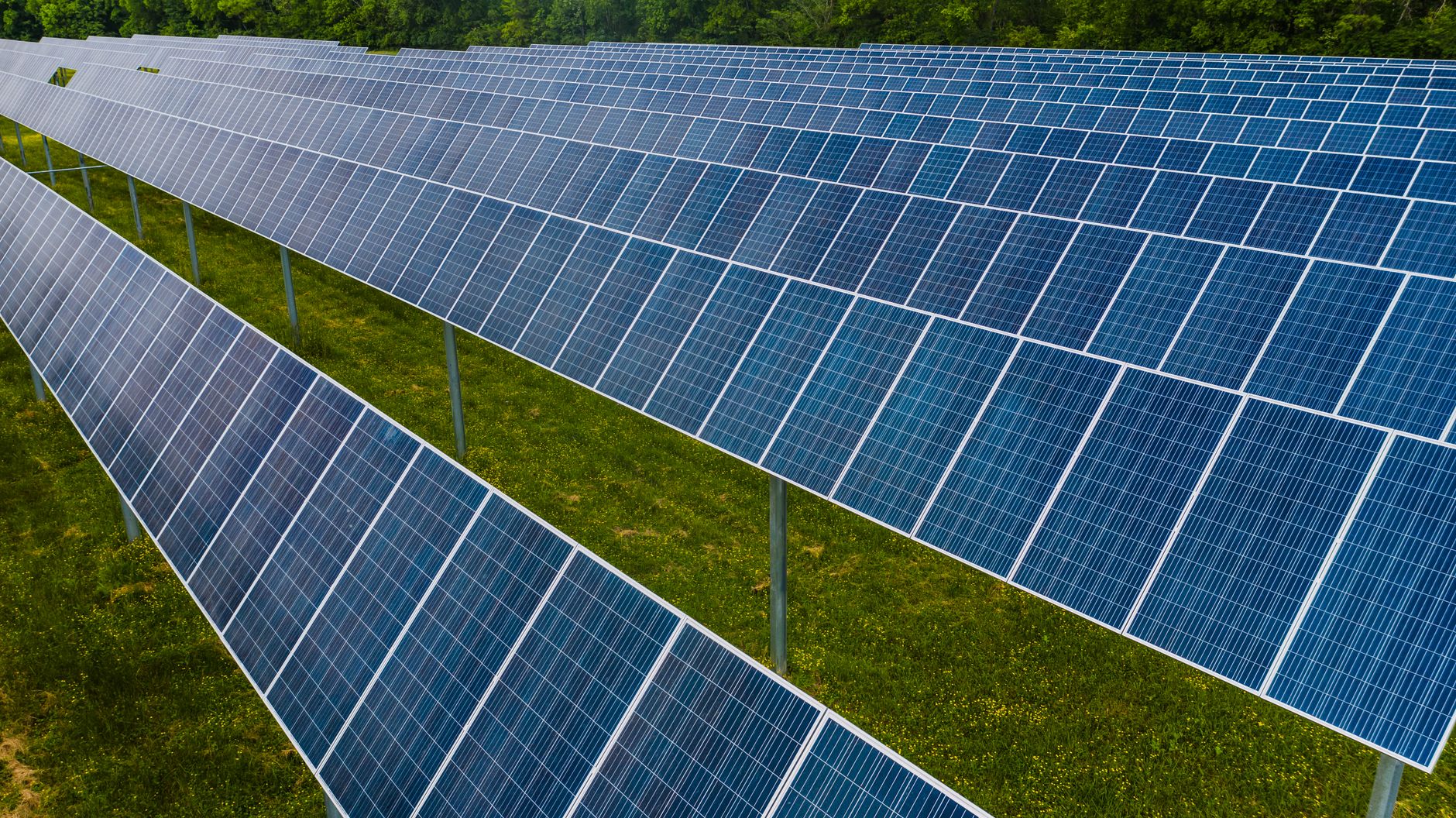 Rows of blue photovoltaic solar panels mounted on grassy open ground