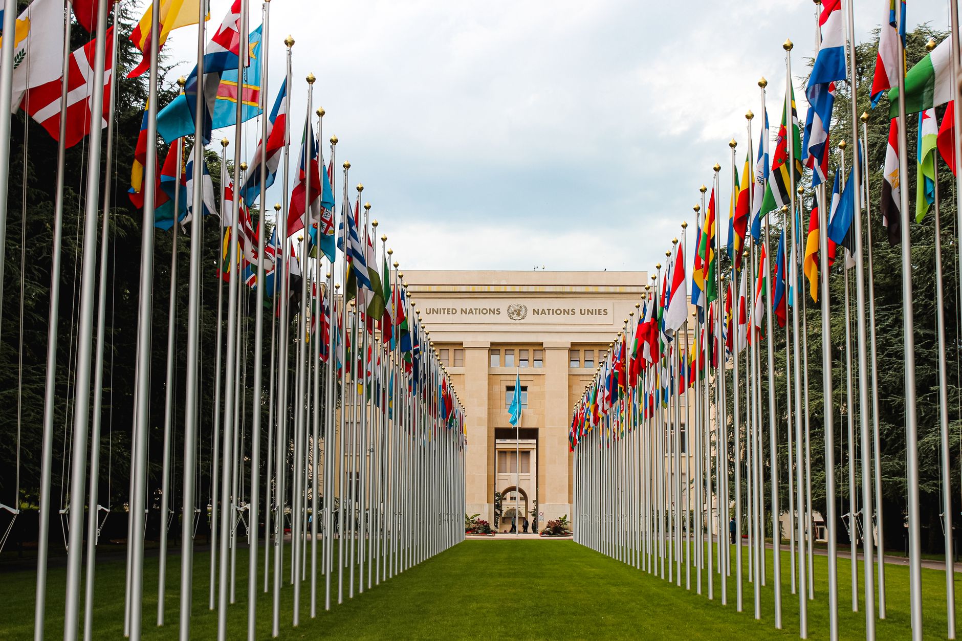 Flags on flagpoles in front of the UN headquarters entrance