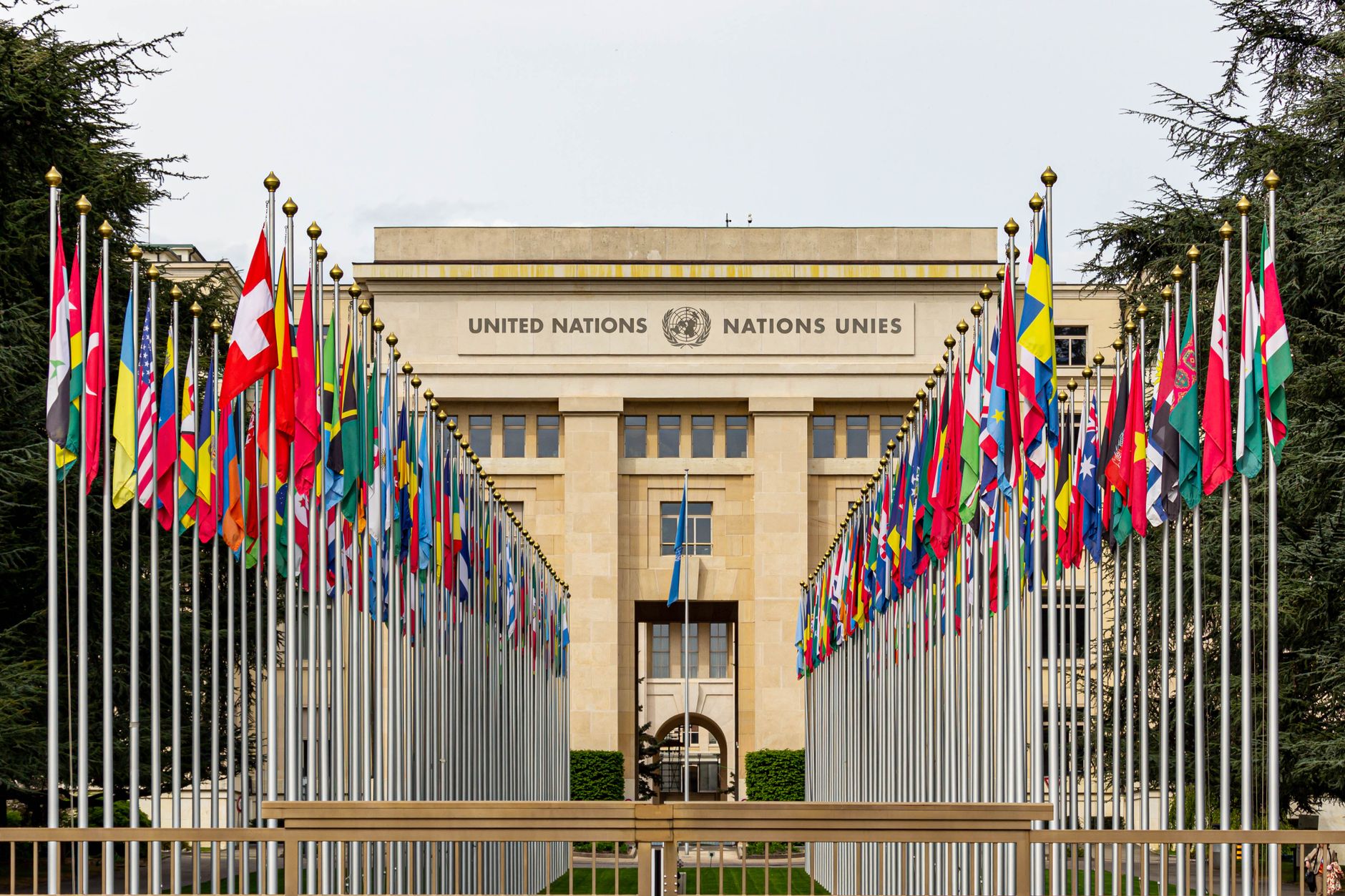 A United Nations building adorned with the flags of member countries
